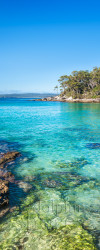 Blenheim Beach Image
