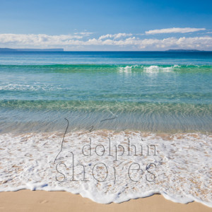 Nelson-Beach Image