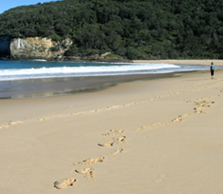 Jervis Bay Area