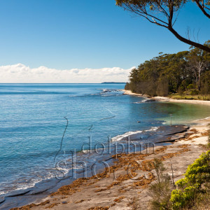 Sharknet-Beach Image