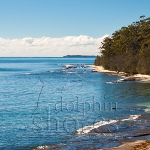 Sharknet-Beach Image