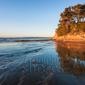 Plantation-Point Image