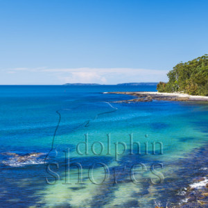 Sharknet-Beach Image