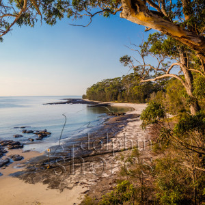 Sharknet-Beach Image