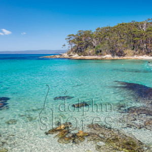 Blenheim-Beach Image